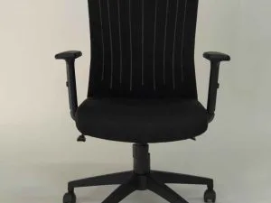 אקסלנט