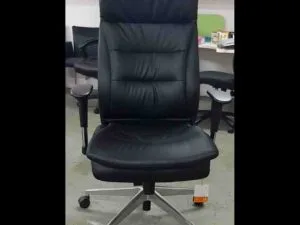 דגם הדס