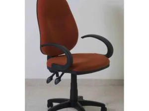 ניצן ידיות קשת